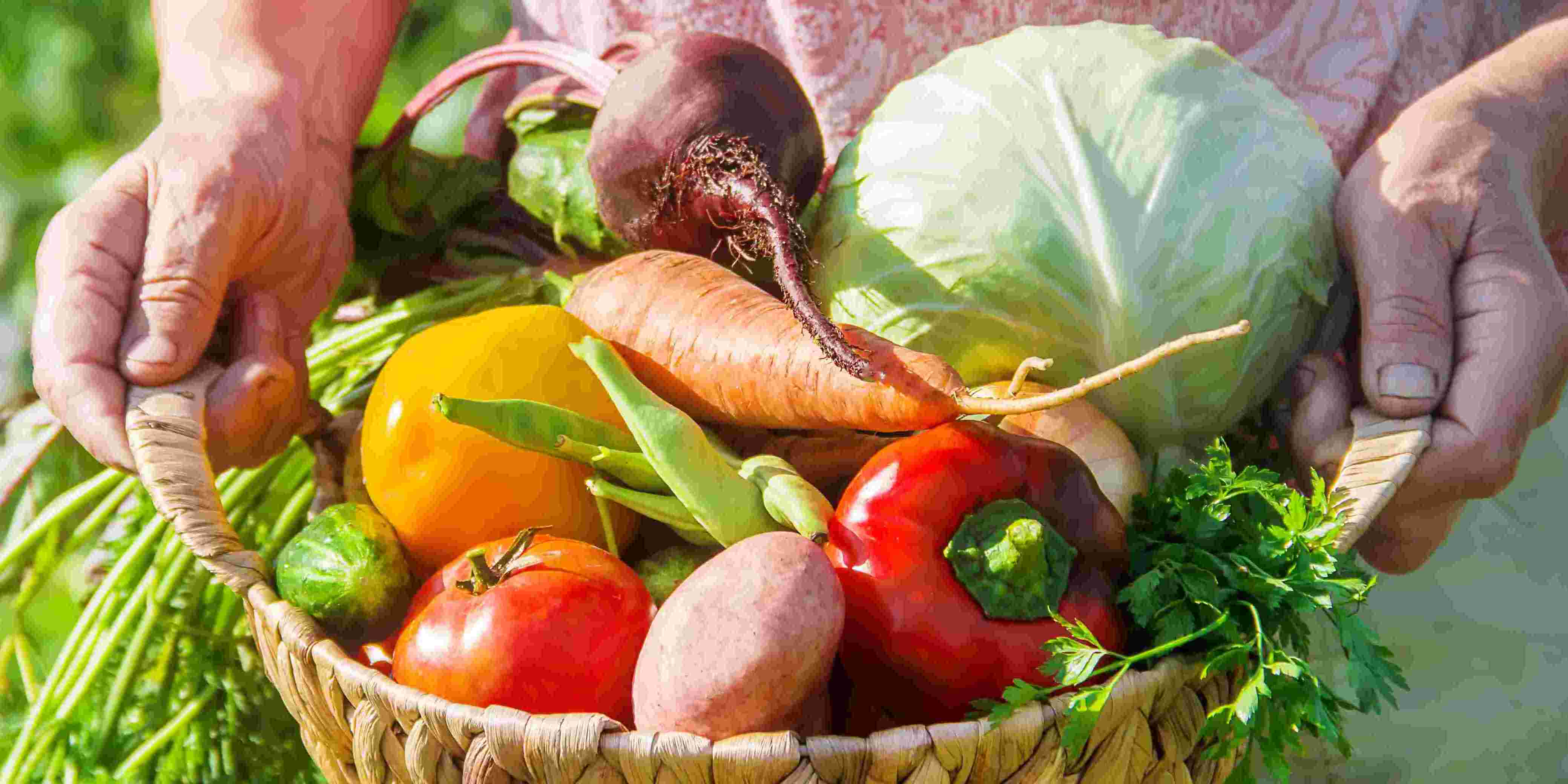 株式会社 田中農園 沖縄営業所