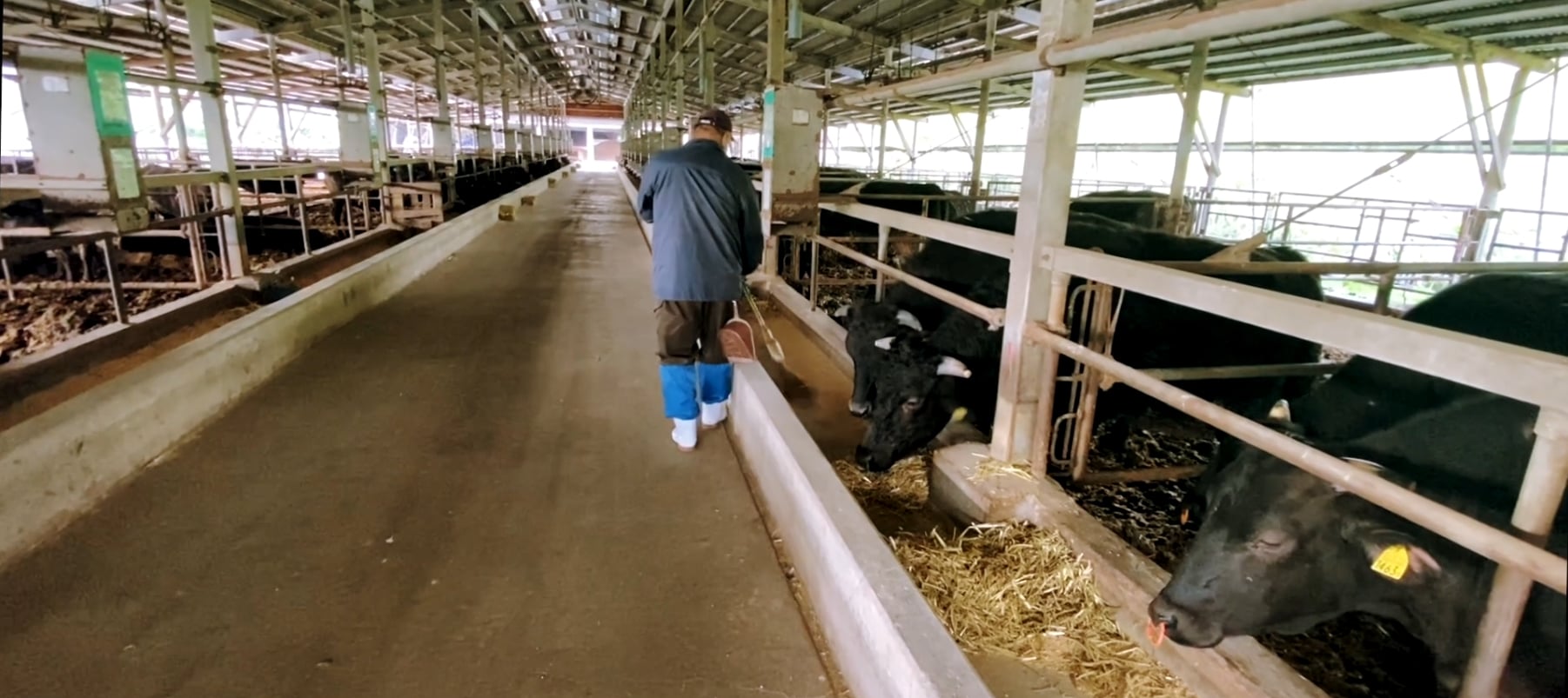 農業生産法人 株式会社八風畑 メイン画像-2