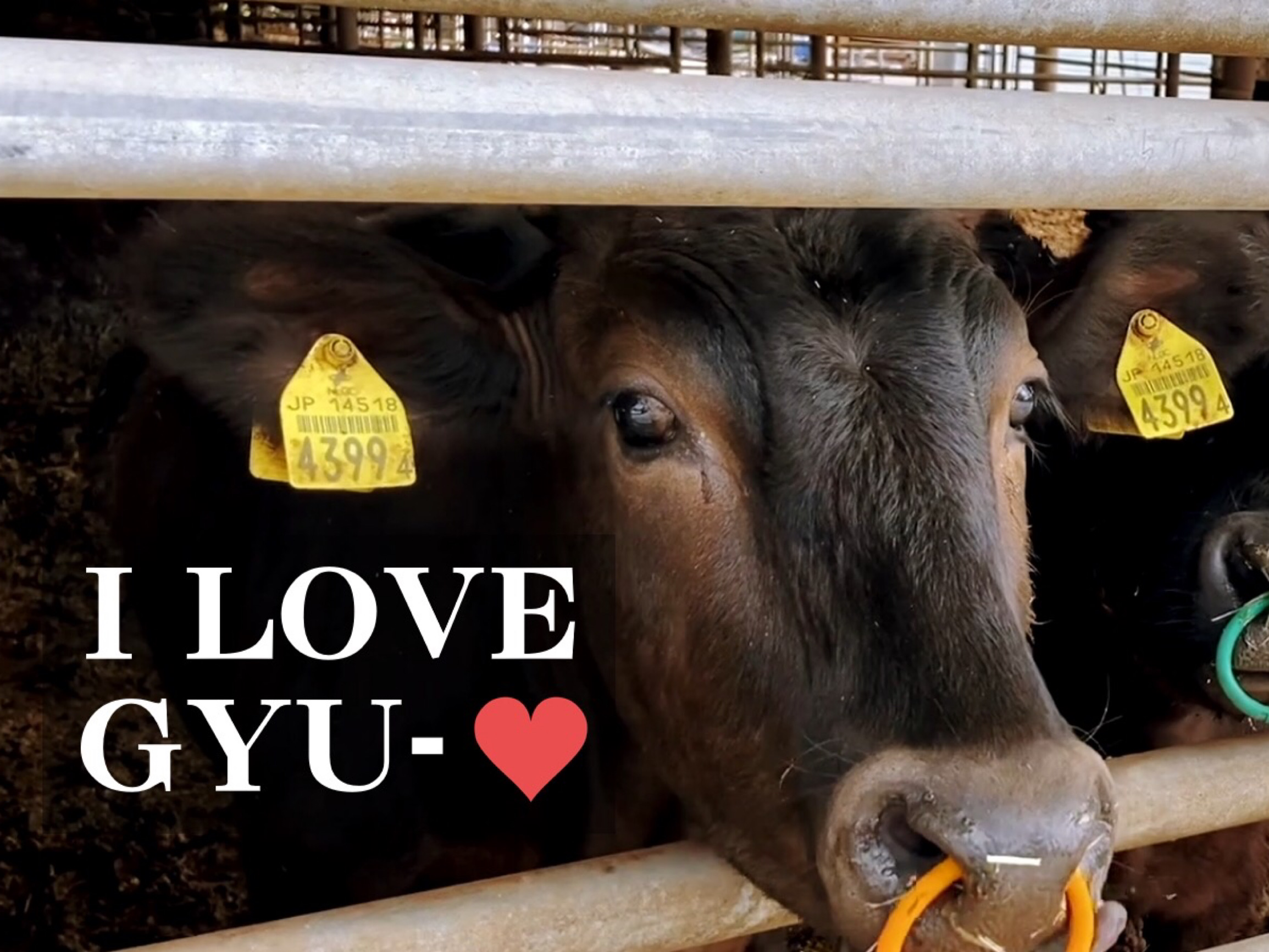 農業生産法人 株式会社八風畑 メイン画像-1