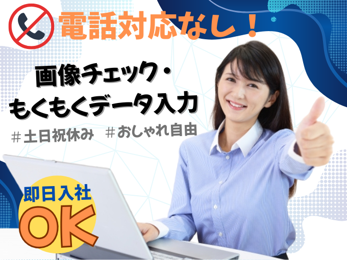 ≪電話対応なし≫画像チェックしながらデータ入力【未経験OK｜ゆったり10時出社】 | オール・フォア沖縄株式会社の求人