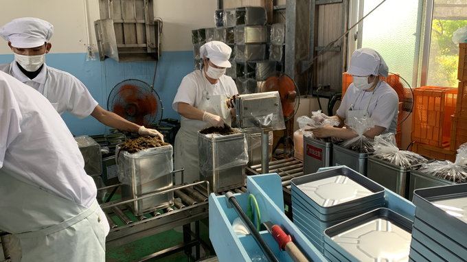 短期のもずく水揚げ・加工作業(男女) | 勝連漁業協同組合の求人