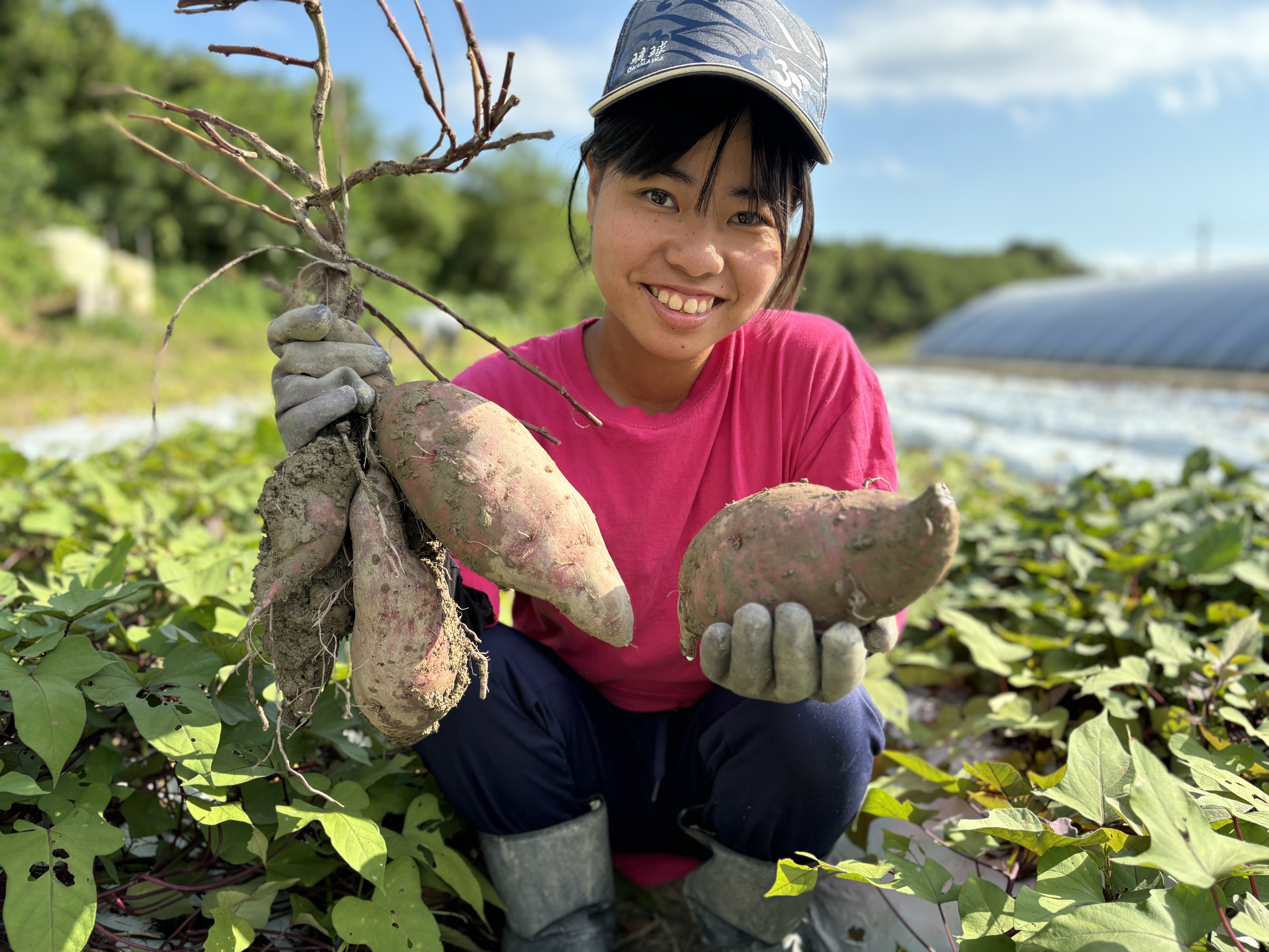 農作業・食品加工スタッフ | ウイングアーク1st 株式会社の求人