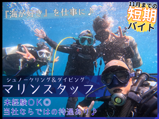 マリンスタッフ(シュノーケリング・ダイビング)【経験・資格不問｜11月までの短期バイト】 | 株式会社GIサービスの求人