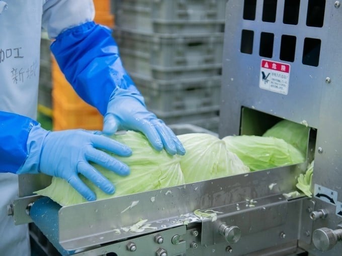 グリーンフィールド沖縄 株式会社 メイン画像-2