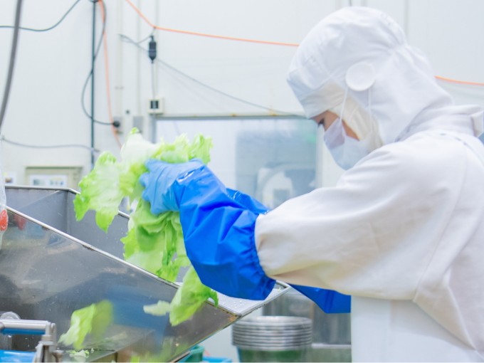 グリーンフィールド沖縄 株式会社 メイン画像-4