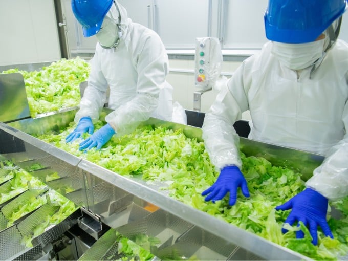 グリーンフィールド沖縄 株式会社 メイン画像-3