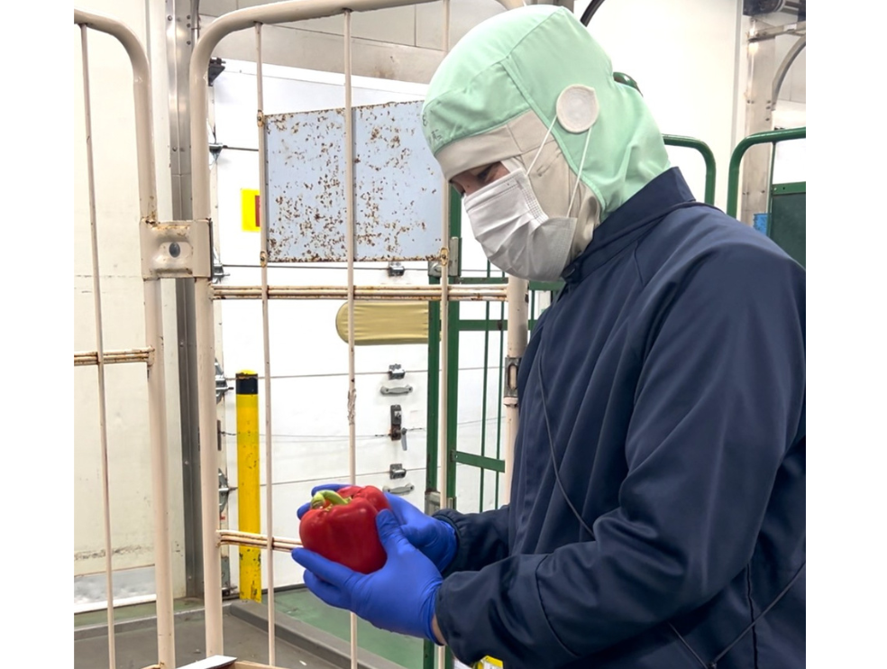 グリーンフィールド沖縄 株式会社 メイン画像-4