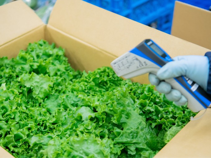 グリーンフィールド沖縄 株式会社 メイン画像-3