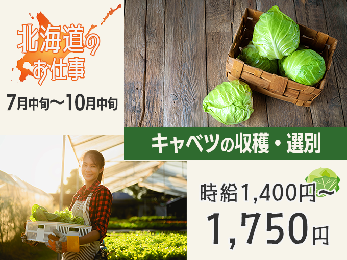 株式会社ケミック　採用センター メイン画像-1