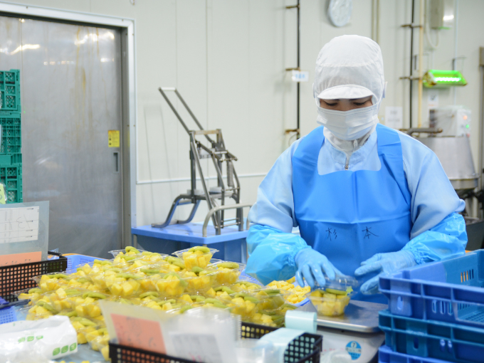 株式会社 ベジプロ 沖縄営業所(工場) メイン画像-3