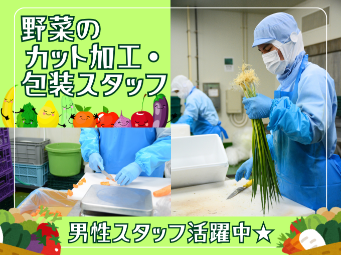 【男性スタッフ活躍中】野菜のカット加工・包装スタッフ【未経験大歓迎｜工場見学OK｜週休2日制】 | 株式会社 ベジプロ 沖縄営業所(工場)の求人
