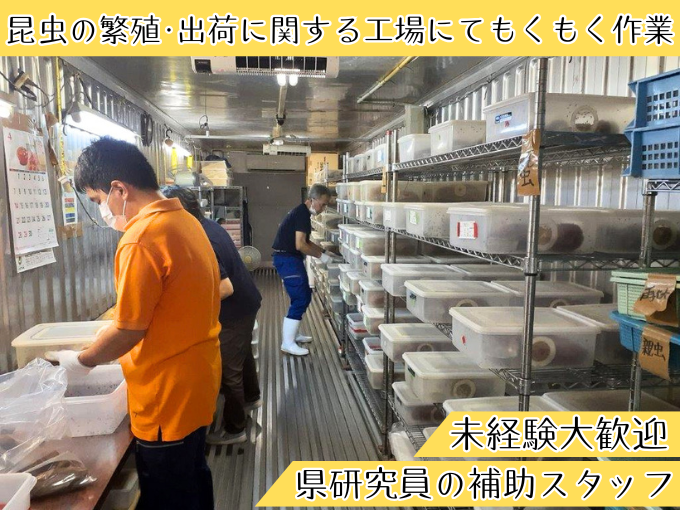 未経験大歓迎｜県研究員の補助スタッフ（昆虫の繁殖・出荷に関する工場にてモクモク作業）｜土日休み | 琉球産経株式会社の求人