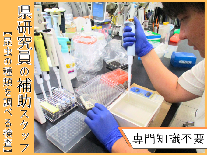 【未経験大歓迎】県研究員の補助スタッフ（昆虫の種類を調べる検査業務）｜土日休み｜残業なし | 琉球産経株式会社の求人
