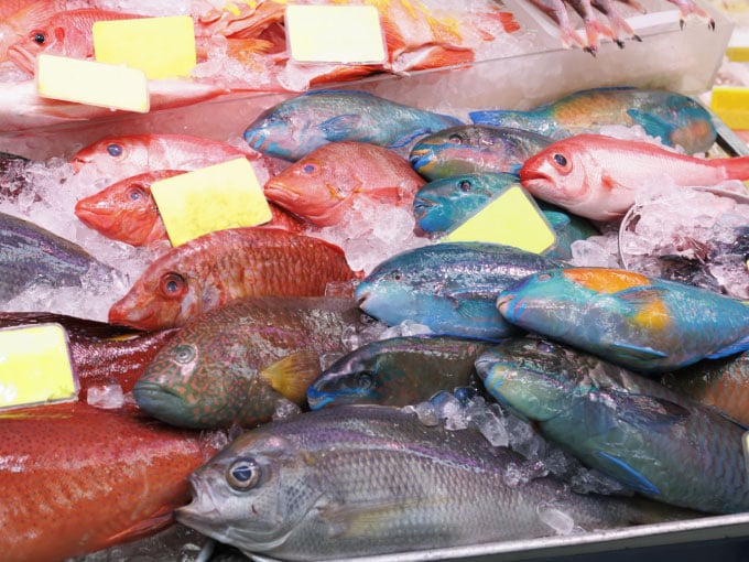 高江洲鮮魚 株式会社 PR画像-1