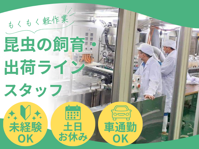公的研究センターでの昆虫の飼育・出荷ラインスタッフ（工場内の軽作業・出荷準備） | 琉球産経株式会社の求人