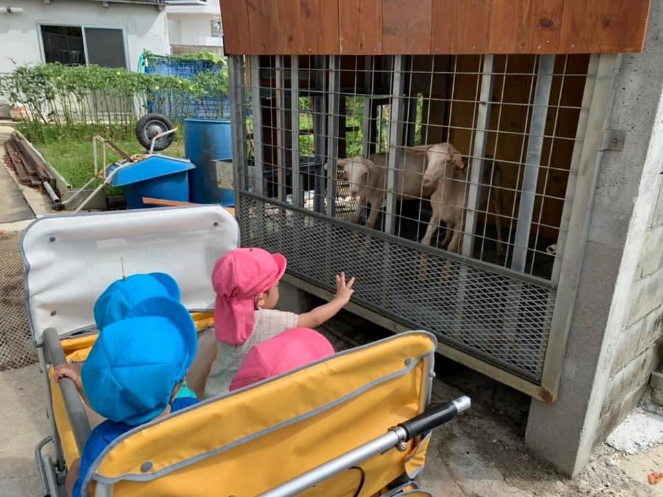 かなでフィル保育園 PR画像-1