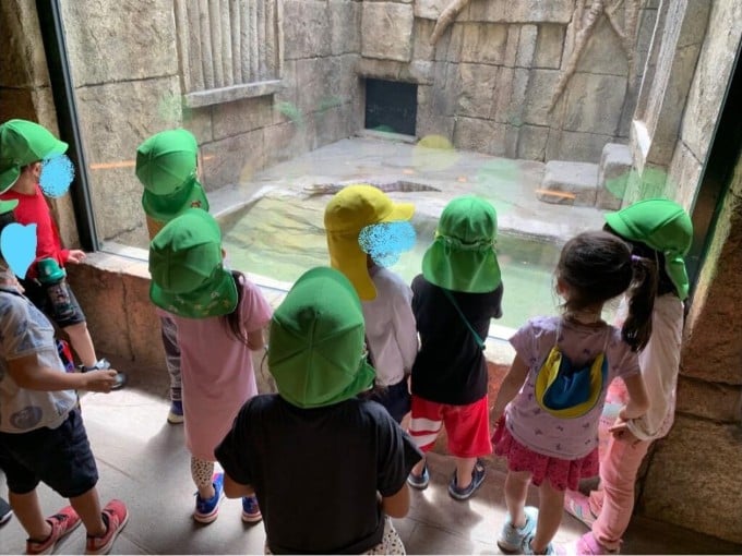 かなで幼児園 メイン画像-3