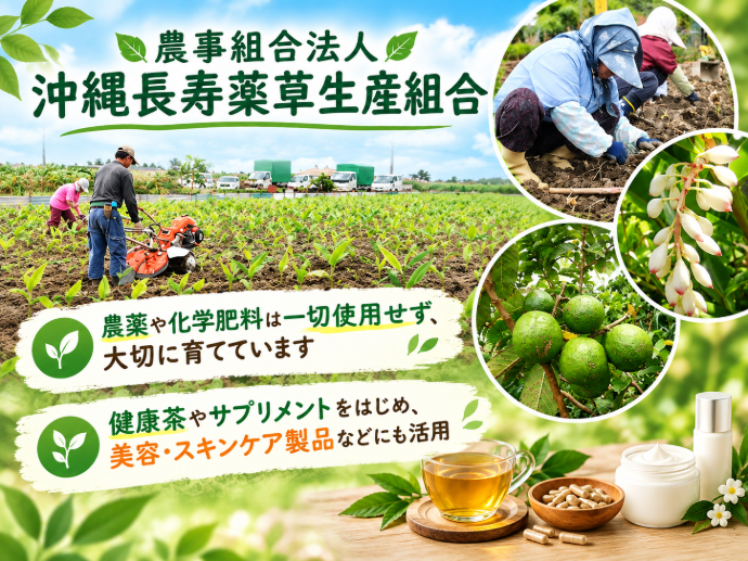 農事組合法人 沖縄長寿薬草生産組合 PR画像-1